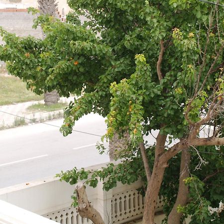 Dar El Amen Appartements Махдия Номер фото