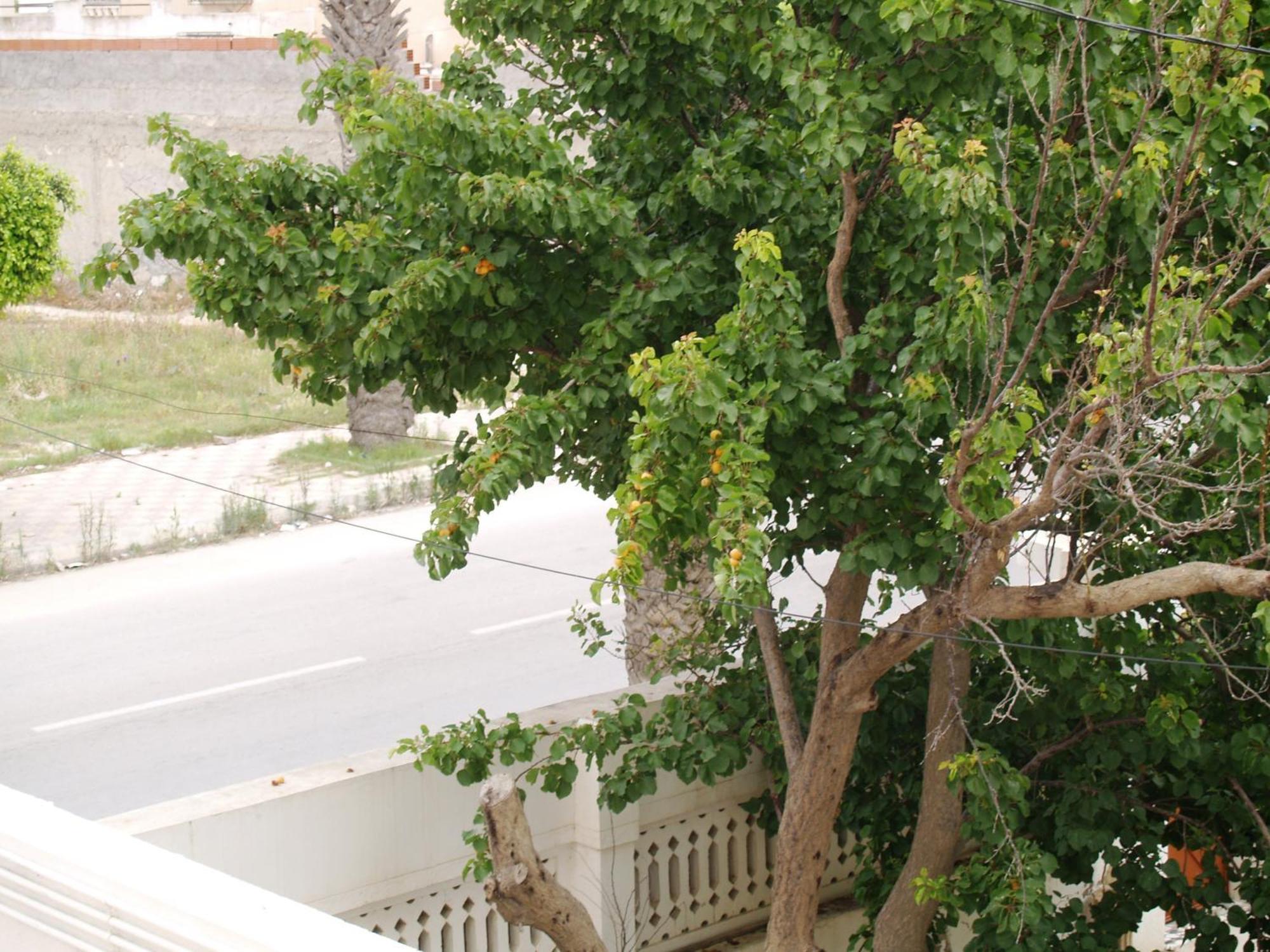 Dar El Amen Appartements Махдия Номер фото